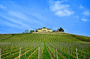 Schloss Johannisberg